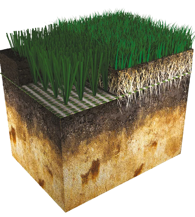 Visual system xtremegrass